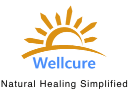 venture logo