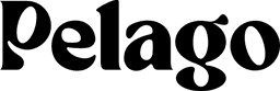 venture logo