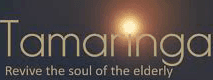 venture logo