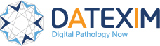 venture logo