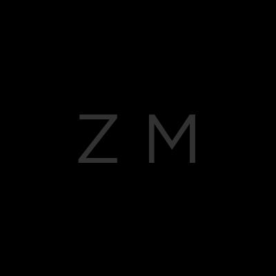 Zoi Meet_logo