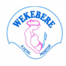 venture logo