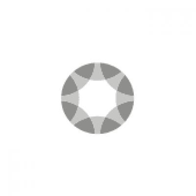 CapeRay_logo