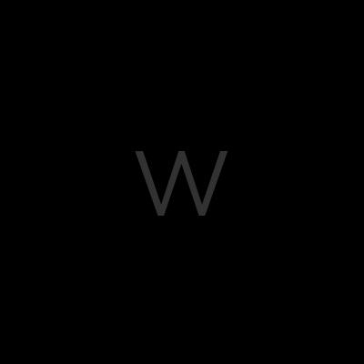 Wavelet (小波)_logo