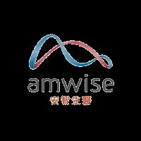 Amwise_logo