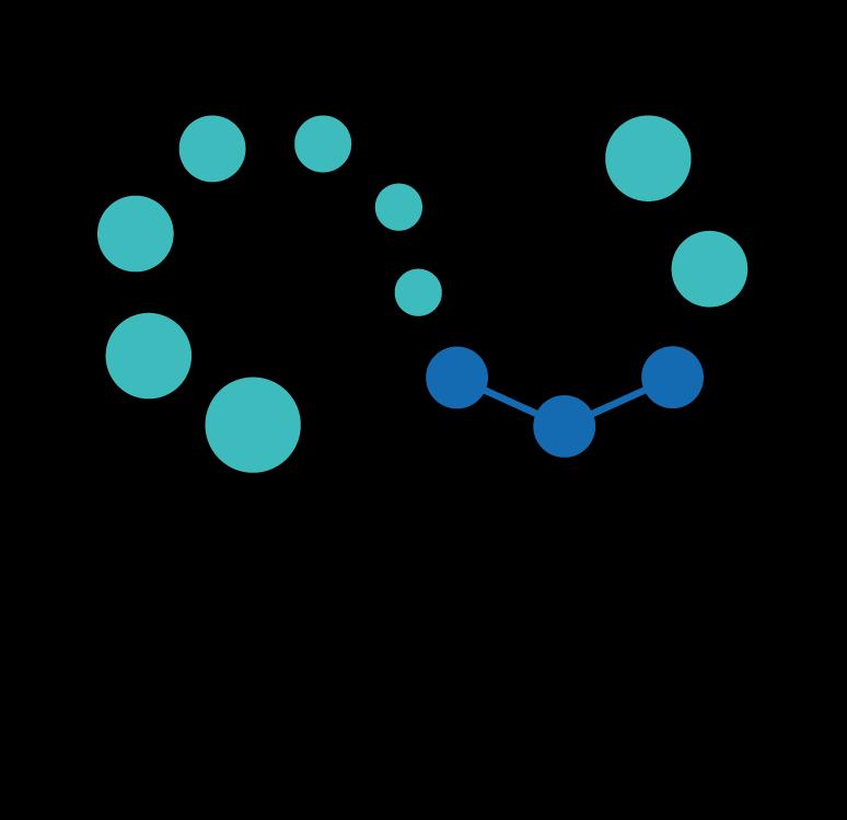 Singlera Genomics (鹍远基因)_logo