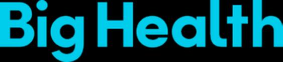 Big Health_logo