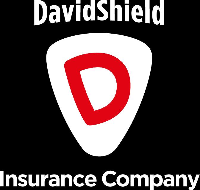DavidShield (דיוידשיל)_logo