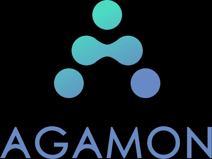 Agamon (אגמון פרסום ותצפית)_logo