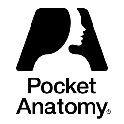 venture logo