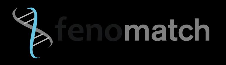 Fenomatch_logo