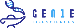 venture logo