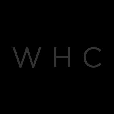WellMedic Health Centers_logo